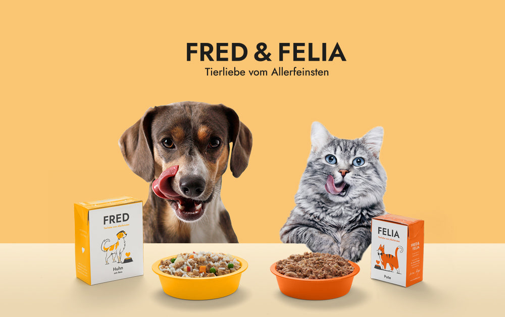 Fred & Felia Store