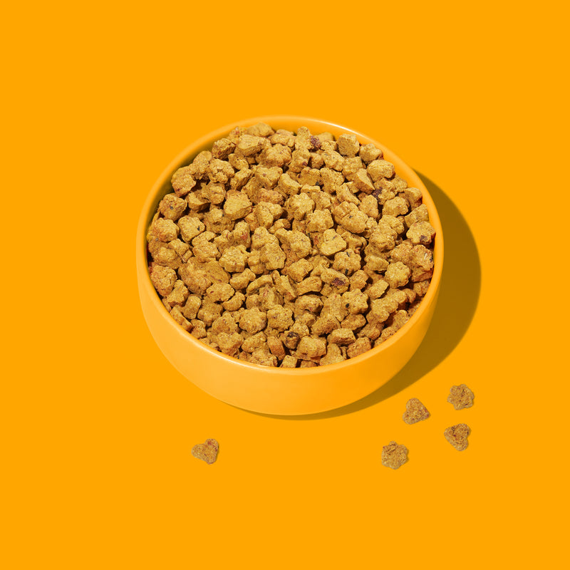 Slow-baked Trockenfutter JUNIOR Huhn (Probe)