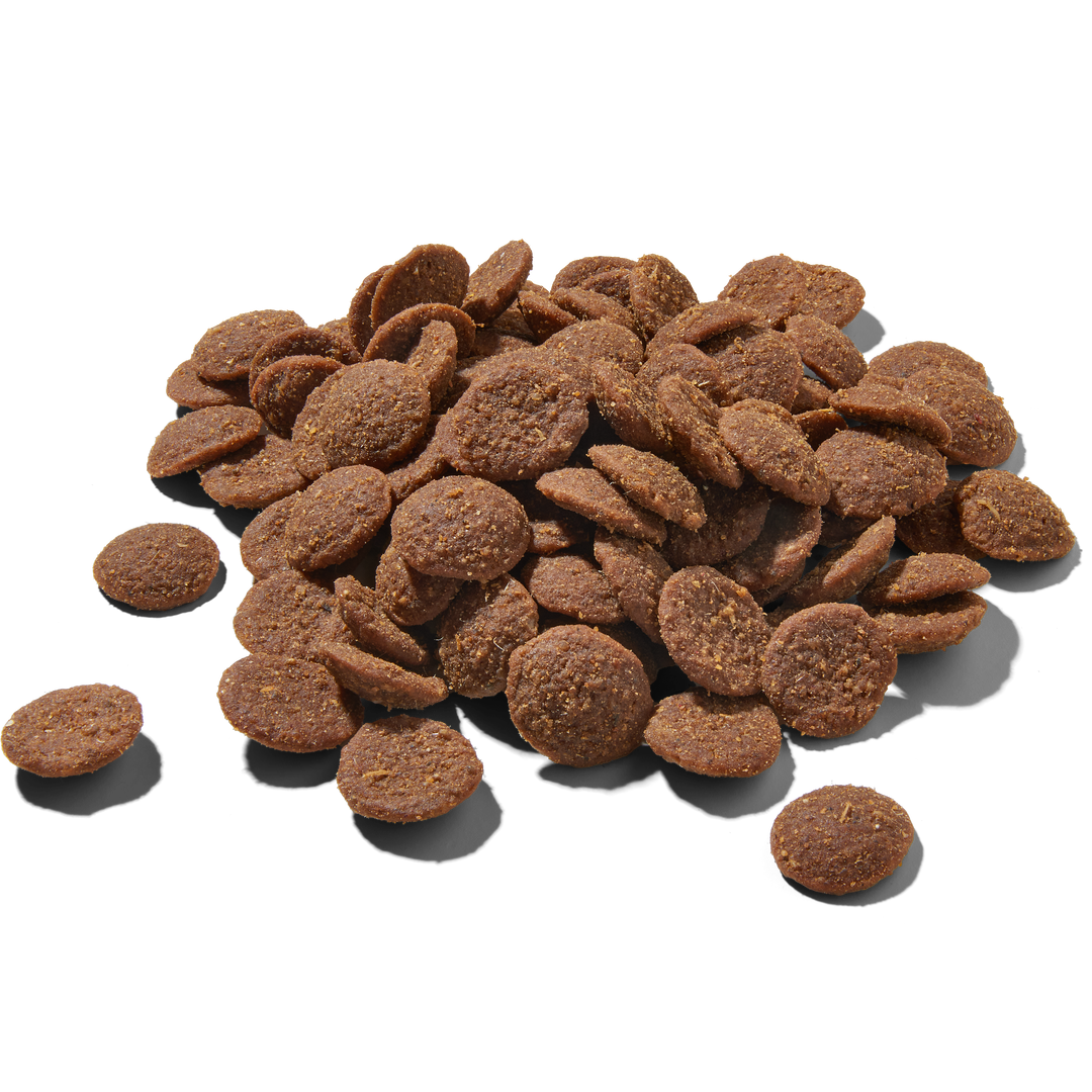 Premium Trockenfutter Rind & Pferd