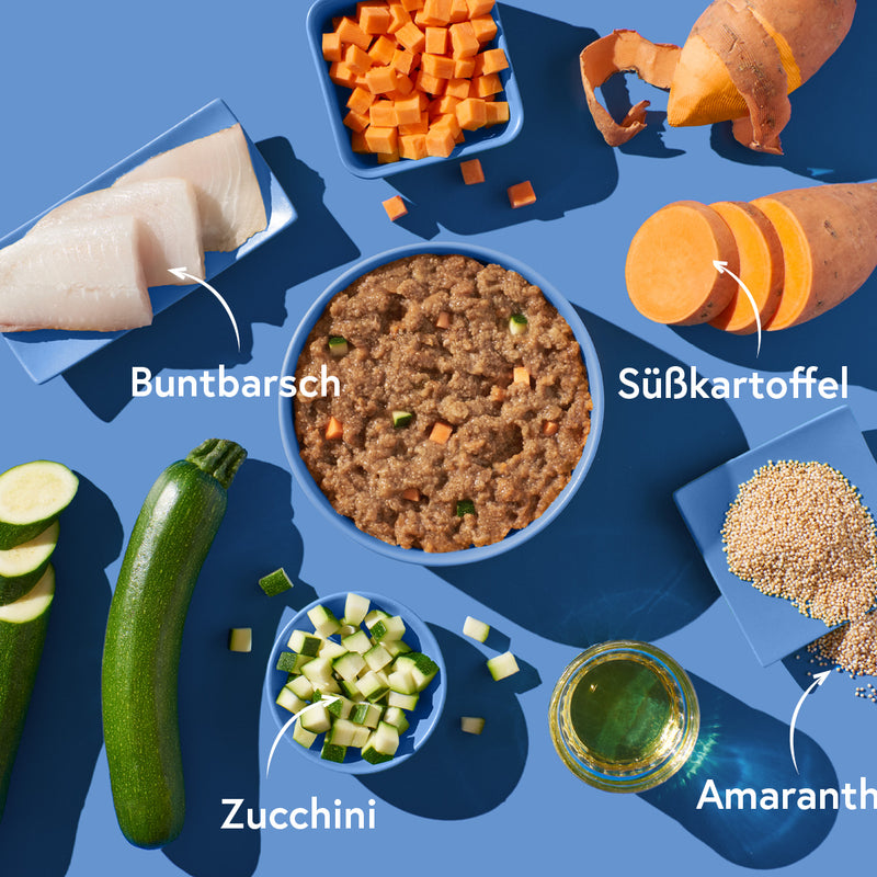 Buntbarsch mit Amaranth