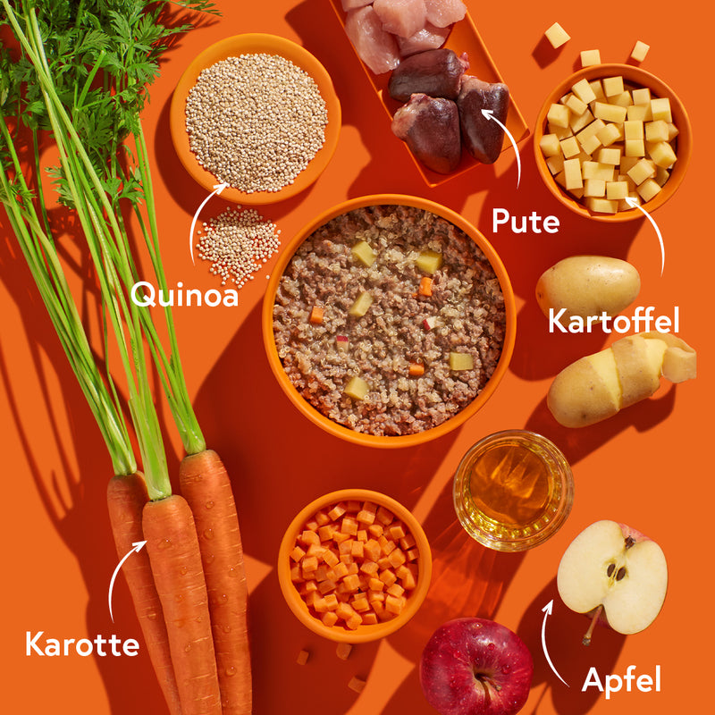 Pute mit Kartoffeln