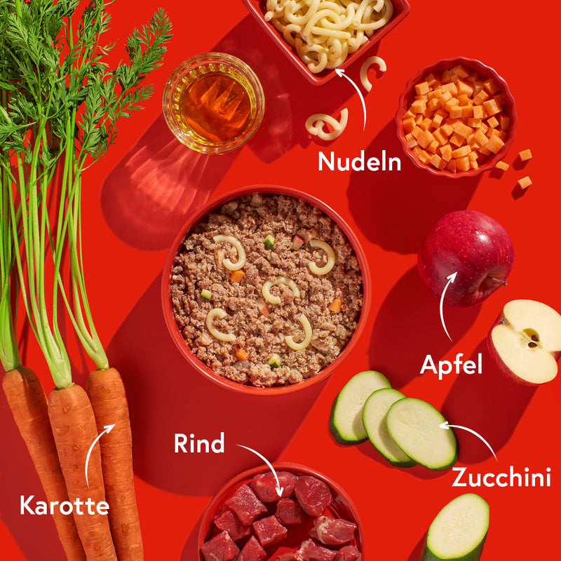 Rind mit Nudeln