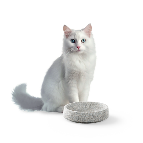 Katzennapf Granicium®