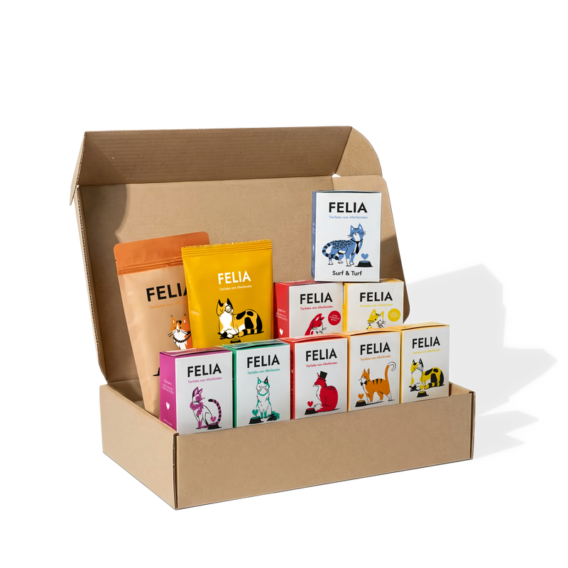 Kennenlernbox
