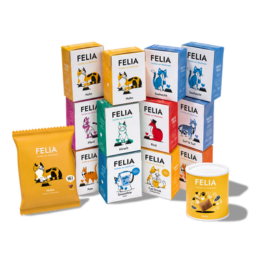 FELIA Bestseller Box