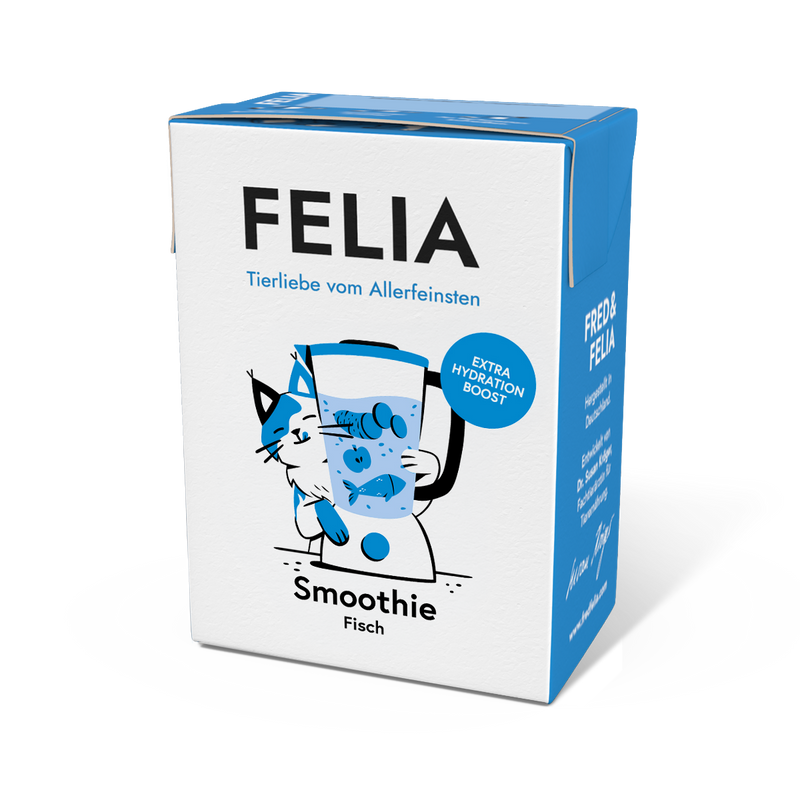 Smoothie Fisch
