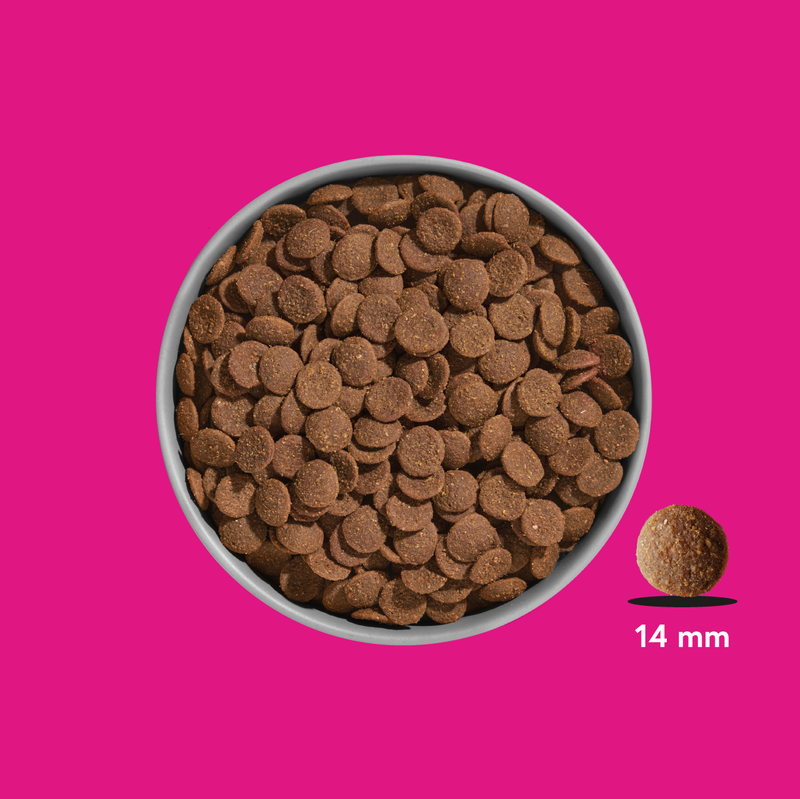 FRED Premium Trockenfutter Schwein I FRED & FELIA