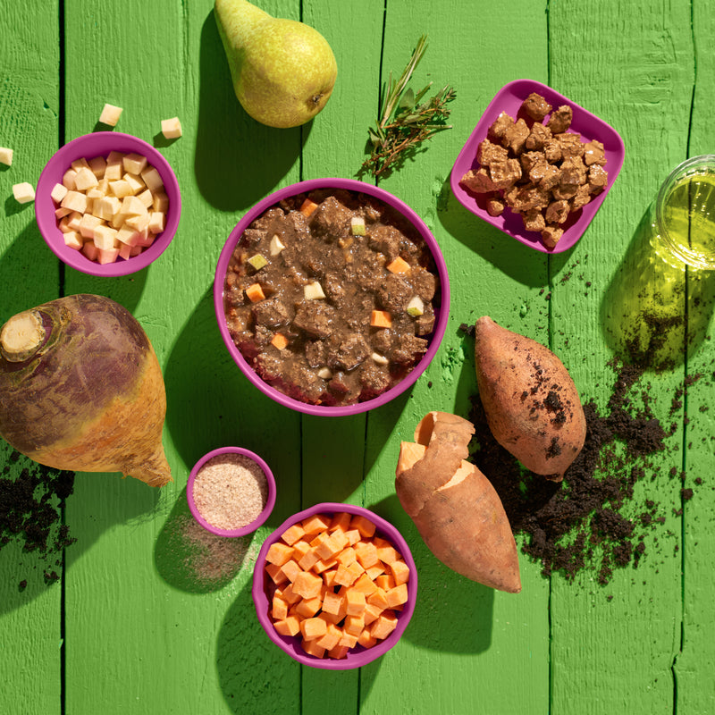 Kein Pferd (vegan)