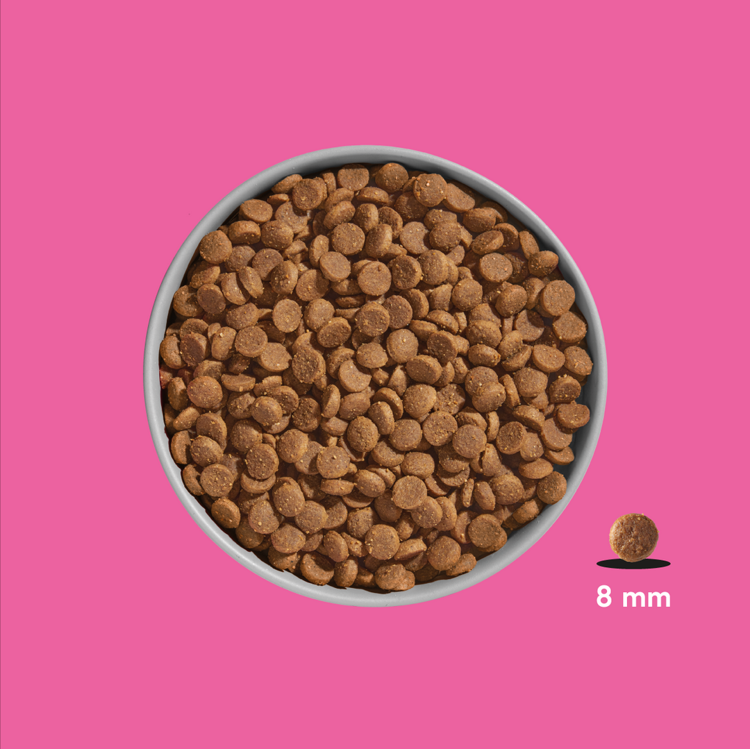 FRED Premium Trockenfutter JUNIOR Lamm I FRED & FELIA