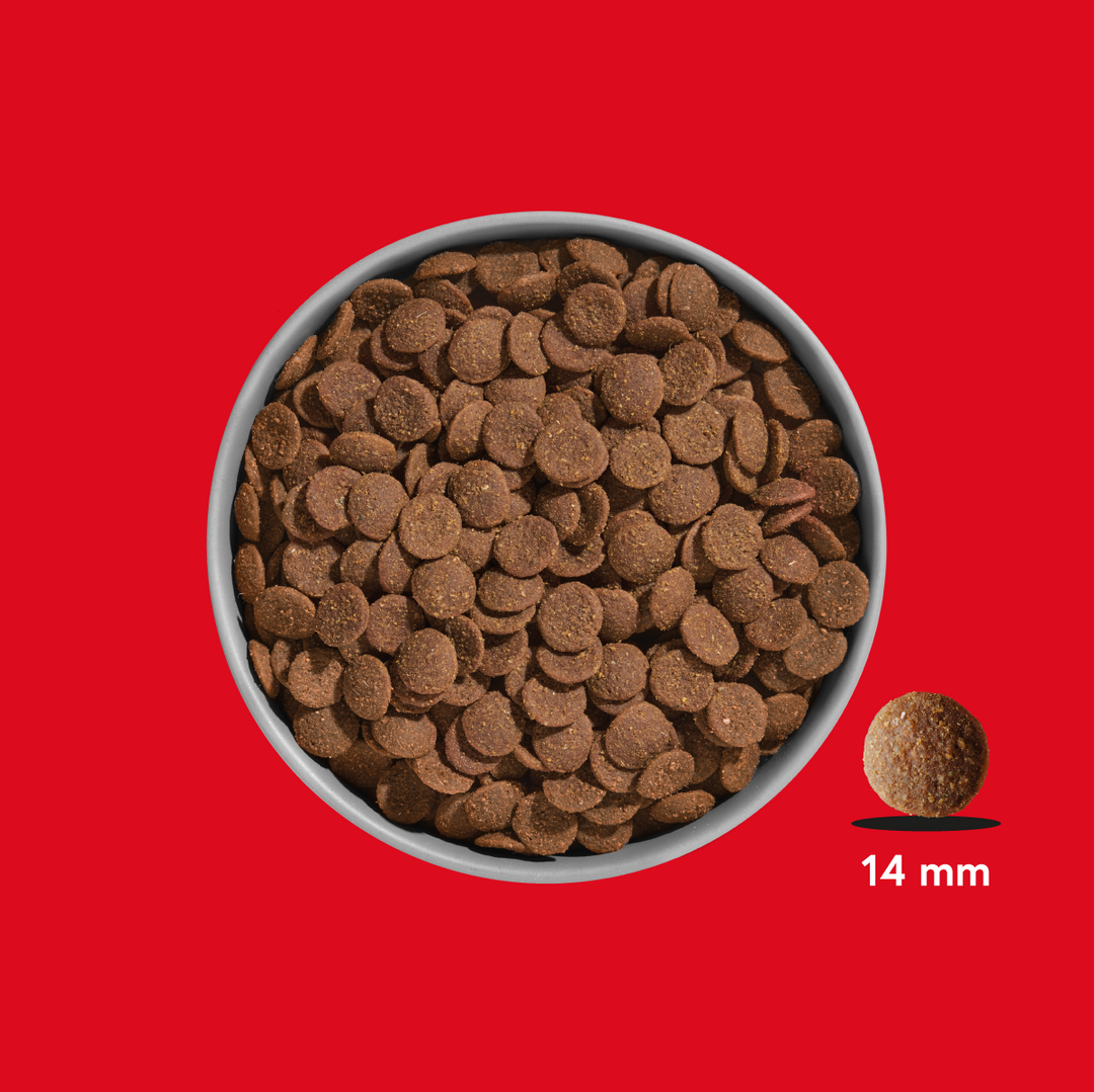 Premium Trockenfutter Rind & Pferd