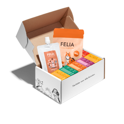 Kennenlernpaket