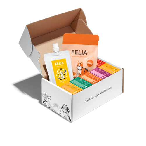 Kennenlernpaket