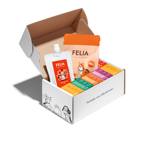 Kennenlernpaket