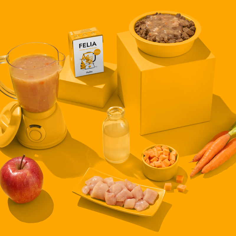 Smoothie Huhn