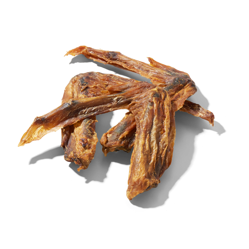 Entenflügel