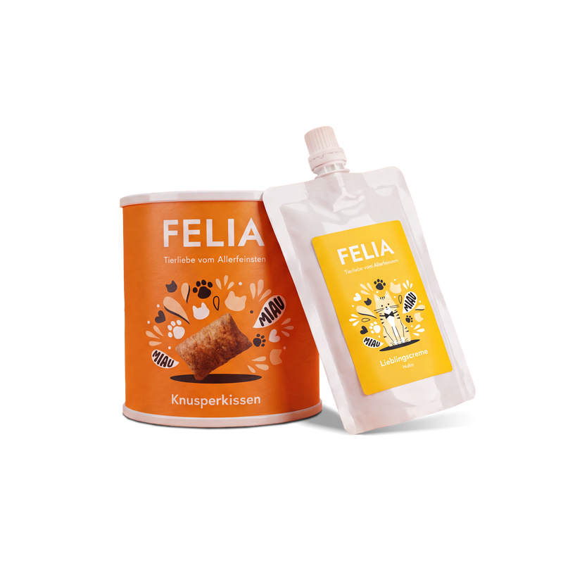 Cat Day Snack Bundle