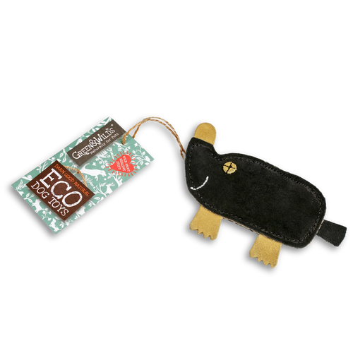 Maggie the Mole