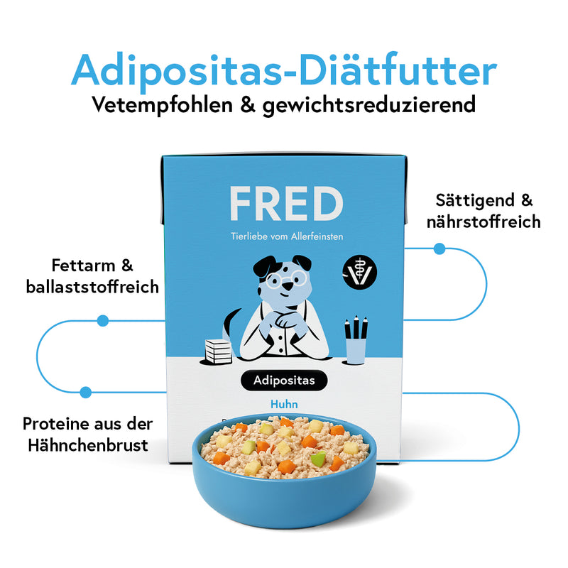 VET Adipositas