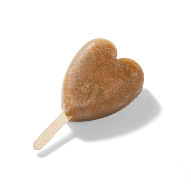 Eisform für Hundeeis