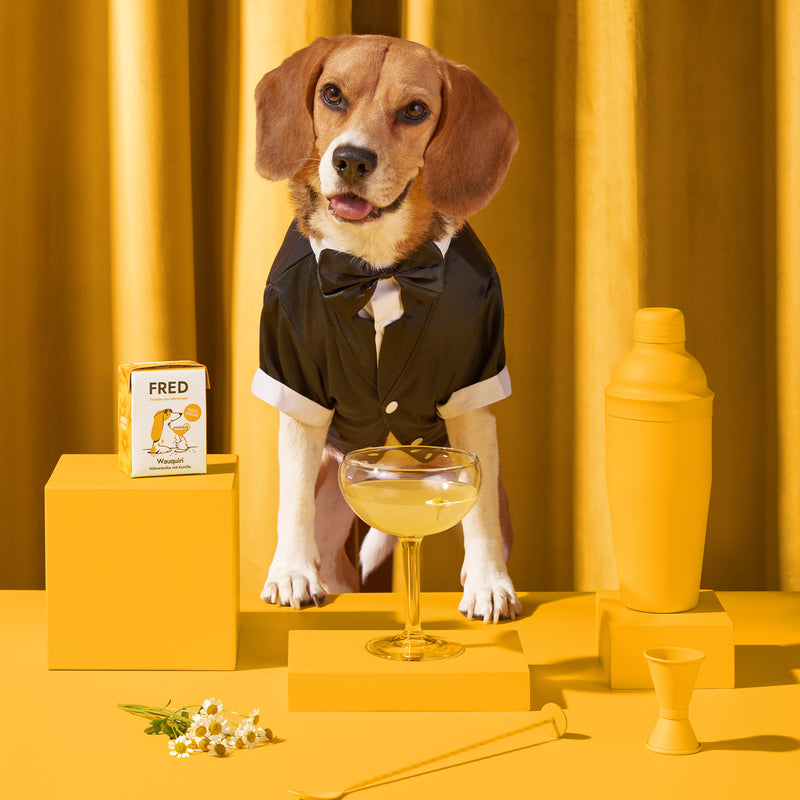 Dog Drink "Wauquiri"