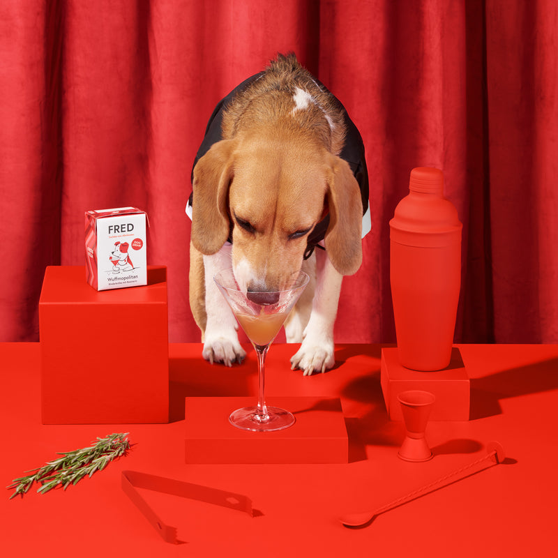 Dog Drink "Wuffmopolitan"
