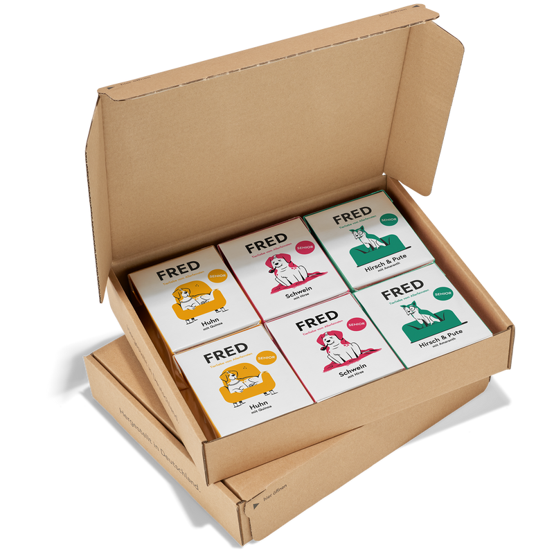 Probierbox SENIOR