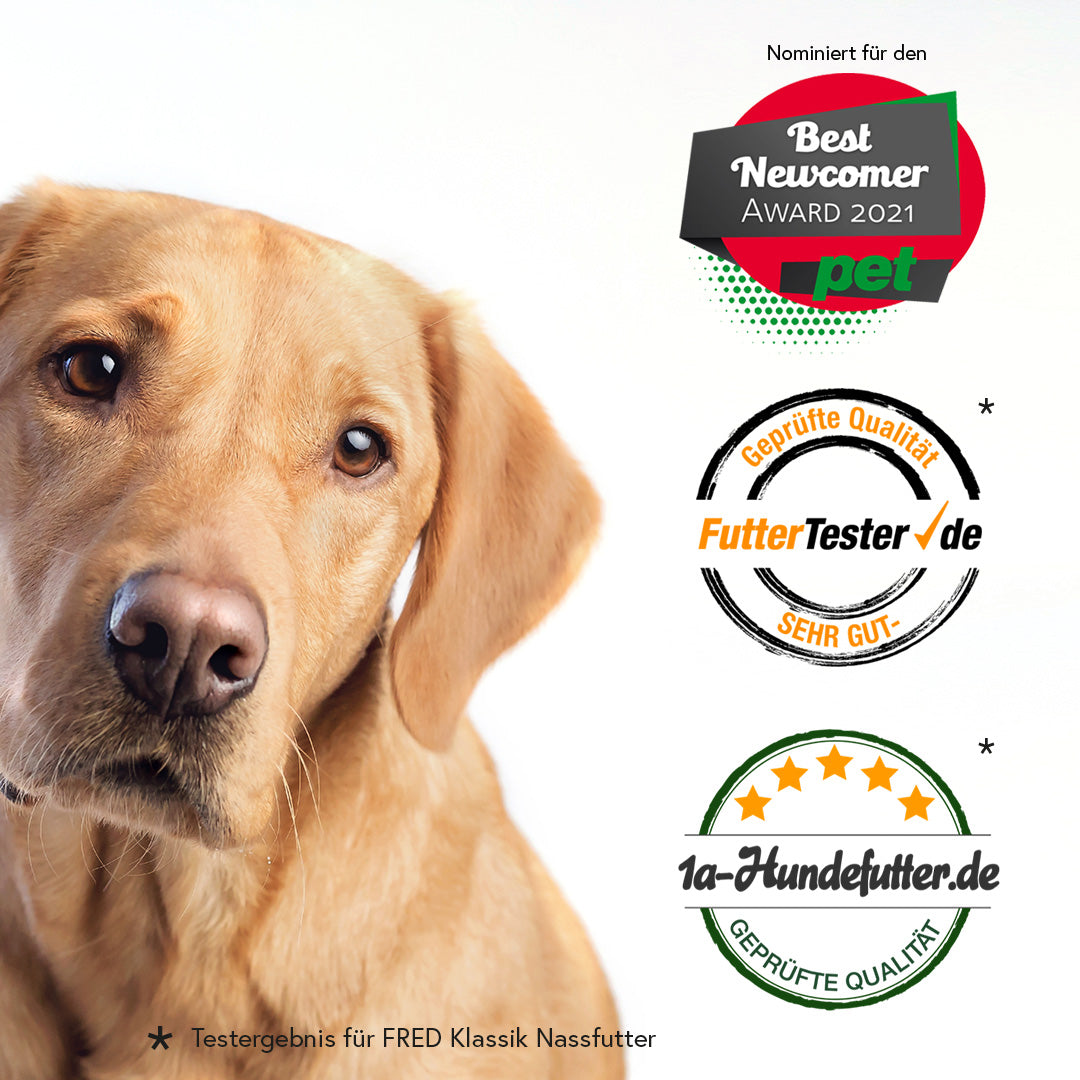 Wildschwein mit Kartoffeln & Karotten